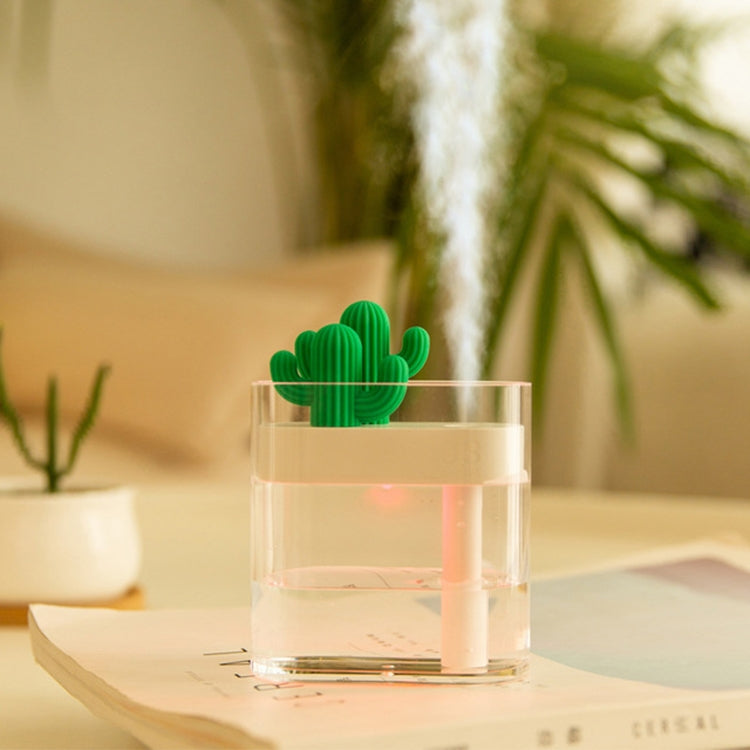 HUMIDIFICADOR CACTUS