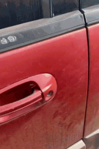 PROTECTOR PUERTA X4