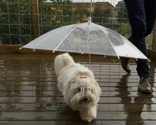 SOMBRILLA PARA MASCOTAS