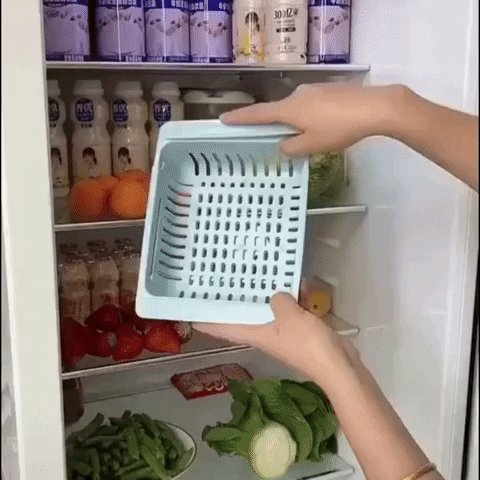 ORGANIZADOR NEVERA